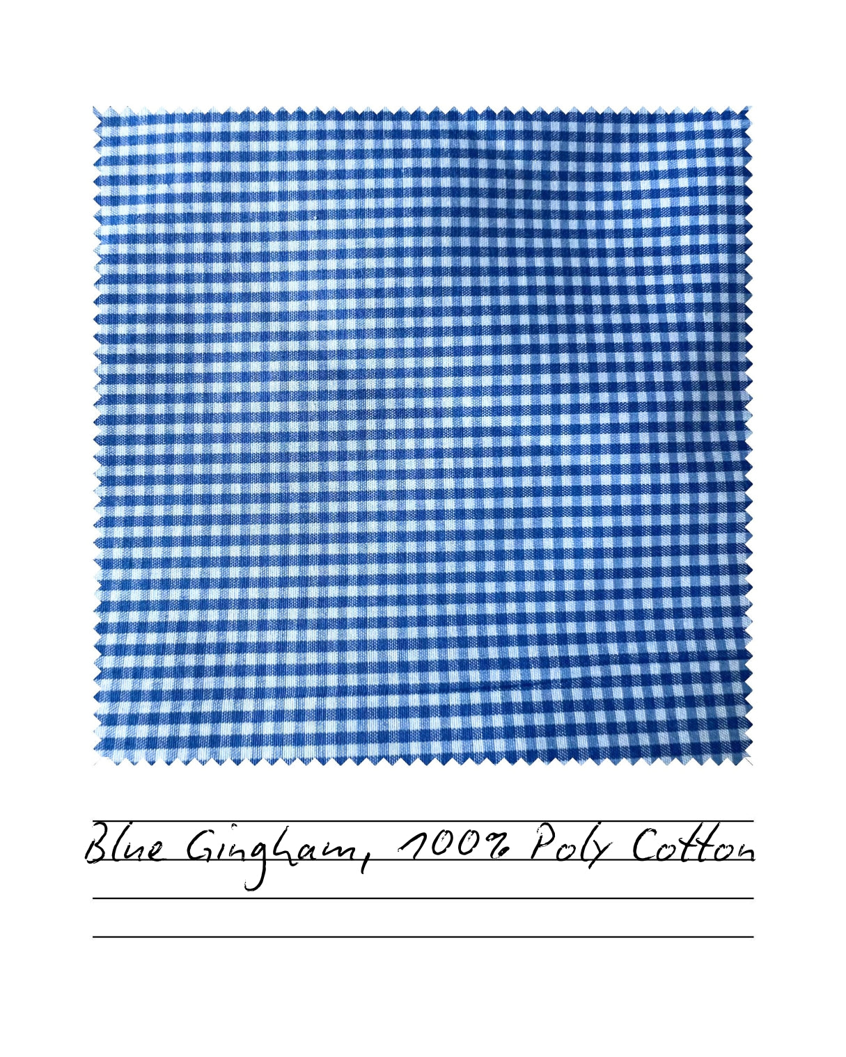 Blue Micro Gingham