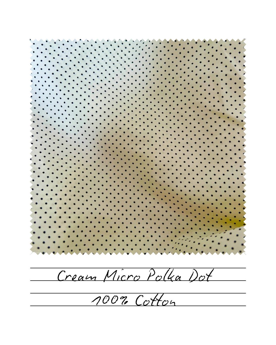 Cream Micro Polka Dot Cotton